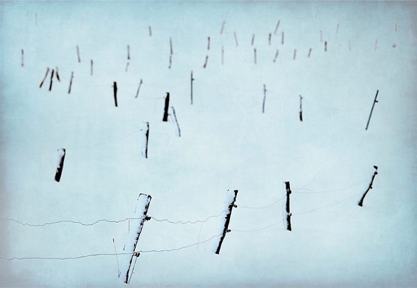 paysage 2_12_2010n03.jpg
